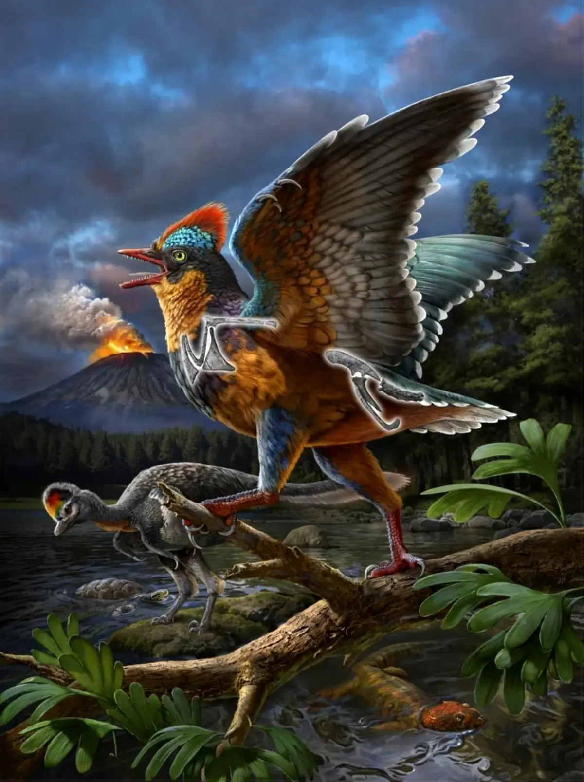 Çin'de 150 Milyon Yıl Önceye Tarihlenen En Eski Kısa Kuyruklu Kuş Fosili Bulundu