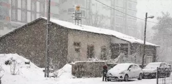 Bitlis'te Kar Yağışı Beklenmedik Zorluklar Yarattı