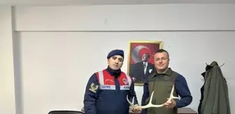 Eskişehir'de Sosyal Medyada Geyik Boynuzu Satan Şüpheli Yakalandı