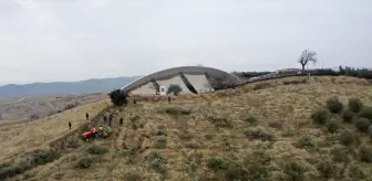 Göbeklitepe'deki Zeytin Ağaçları Taşınıyor