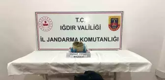 Iğdır'da Kaçakçılık Operasyonunda 1 Kilogram Esrar Ele Geçirildi