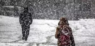 Kar yağışı nedeniyle bazı il ve ilçelerde eğitime ara verildi