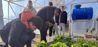 Hayrabolu Lisesi Öğrencileri Tarımsal Üretim Yapıyor