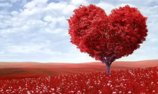 Eşe, sevgiliye, flörte 14 Şubat Sevgililer Günü mesajları - RESİMLİ 2025 (ERKEK – KADIN)!