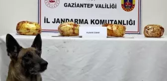 Gaziantep'te Yolcu Otobüsünde 3 Kilo Esrar Ele Geçirildi