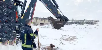 Kayseri'de Bataklığa Saplanan Yılkı Atı İtfaiye Ekiplerince Kurtarıldı