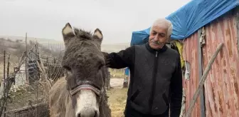 72 Yaşındaki Adamın Eşeğiyle Dostluğu: 'Minik'