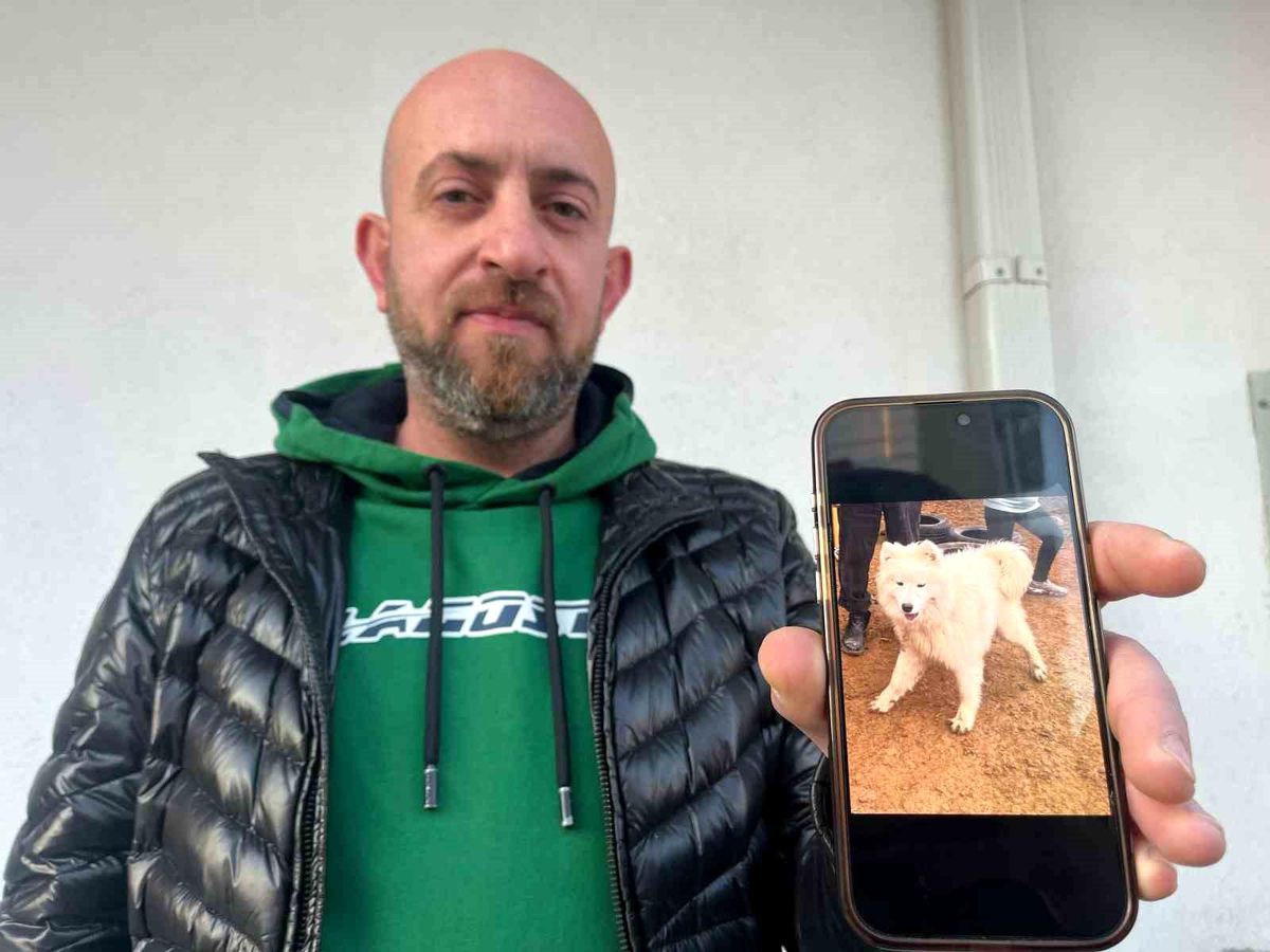 Eskişehir'de Kayıp Köpek İçin 50 Bin TL Ödül İlanı Dolandırıcılara Kapı Açtı