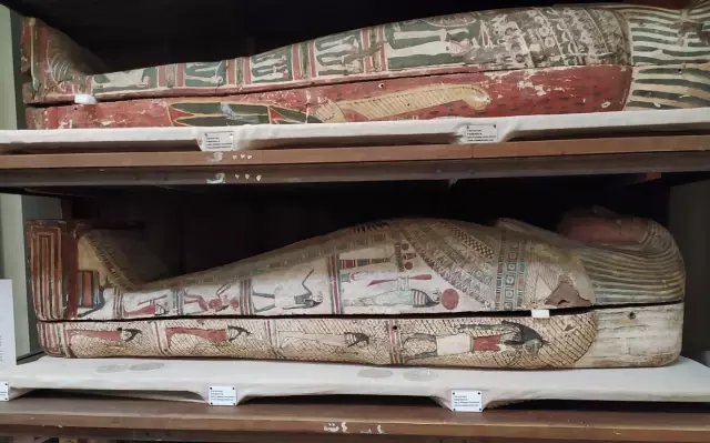 5,000-year-old mummies were examined! The results ended an urban legend