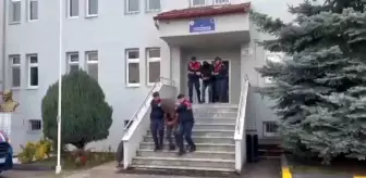 Sakarya'da Hayvan Hırsızlığı Operasyonunda 11 Tutuklama