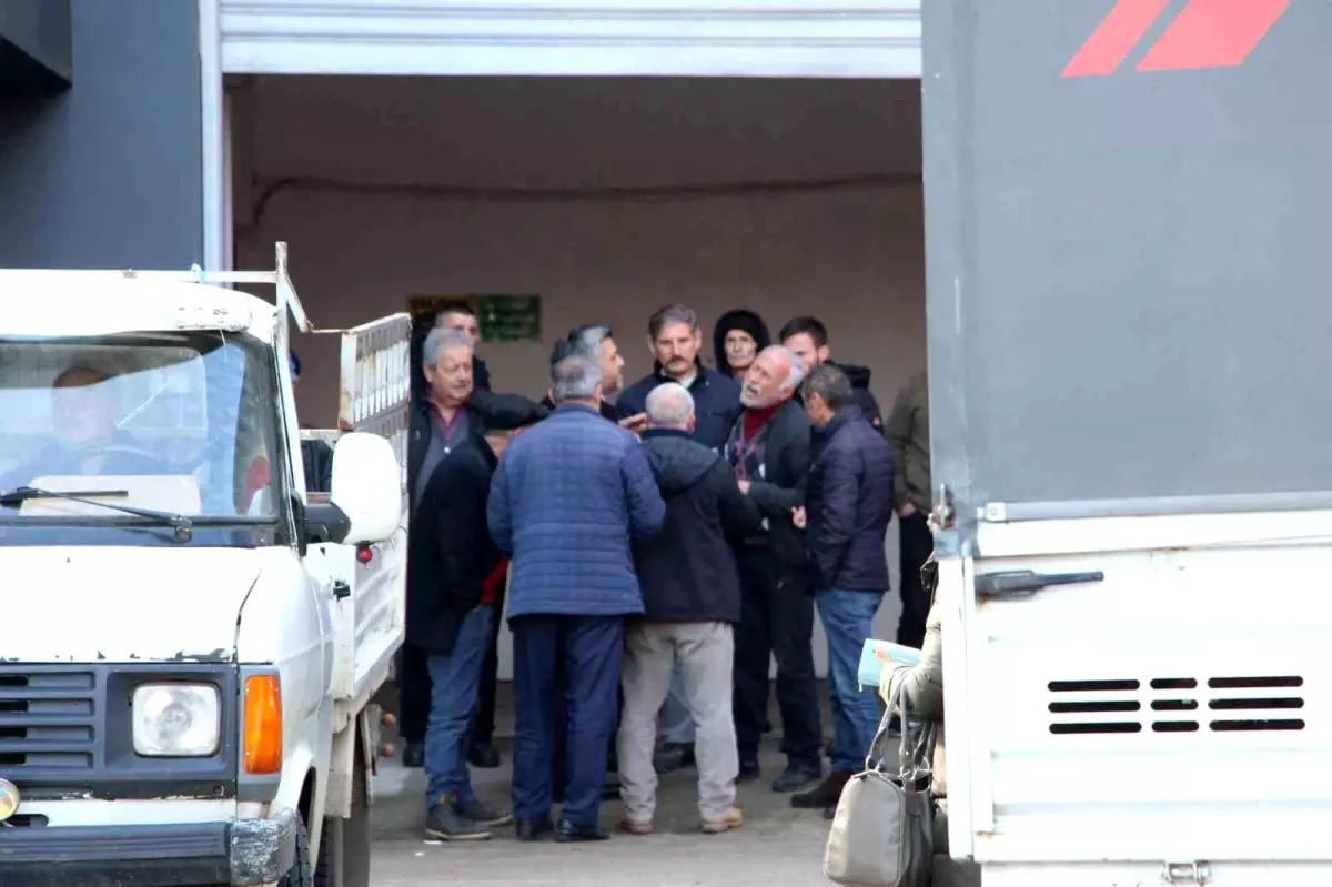 Fındık Tüccarı Kaçtı, Üreticiler Milyonluk Zarar Yaşadı