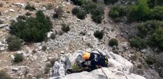 Burdur'da Mahsur Kalan Keçiler AFAD Ekipleri Tarafından Kurtarıldı