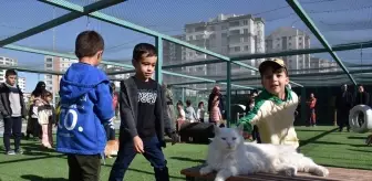 Küçük Dostlar Kedi Kasabası, 9 Yılda 42 Bin Ziyaretçi Ağırladı