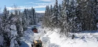 Kastamonu'da Kar Mücadelesi: Ekipler Gece Gündüz Çalışıyor