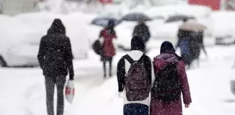 Sinop ve Kastamonu'da etkili olan kar yağışı nedeniyle eğitime ara verildi