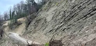 Sinop'ta Kuvvetli Yağışlar Toprak Kaymasına Neden Oldu