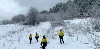 Bilecik'te Kayıp Fatma Çay'ı Arama Çalışmaları Devam Ediyor