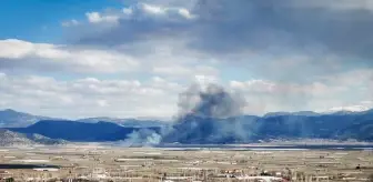 Burdur Gölhisar'da Sazlık Alanında Yangın Çıktı