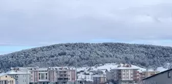 Karabük ve Bolu'da Kar Yağışı Etkili Oluyor