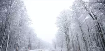 Kırklareli'de Yoğun Kar Yağışı Ulaşımı Olumsuz Etkiliyor