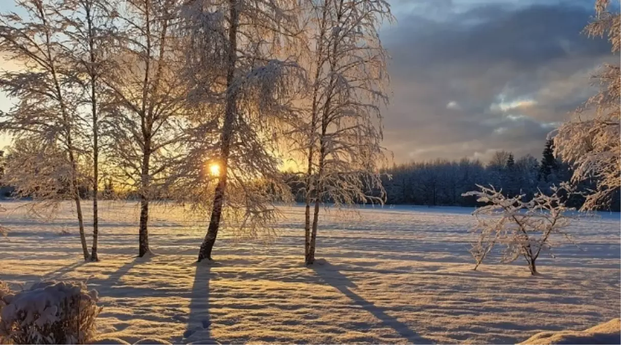 Malatya okullar tatil mi SON DAKİKA? 21 Şubat Cuma Malatya okul yok mu (Malatya Valiliği Açıklaması – KAR TATİLİ)?