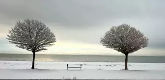 Doğu Anadolu'da Kar Yağışı Etkili, Yüzlerce Yol Ulaşıma Kapandı