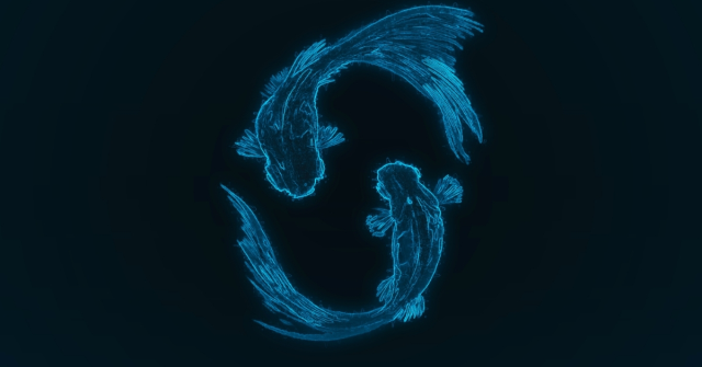 21 Şubat hangi burç?