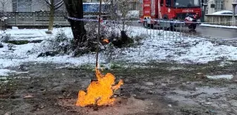 Kar yağışı dahi söndürmeye yetmedi! Günlerdir alev alev yanıyor