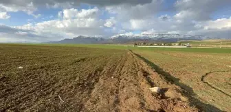 Şırnak'ta 3 günlük bebeğin cesedi bulundu