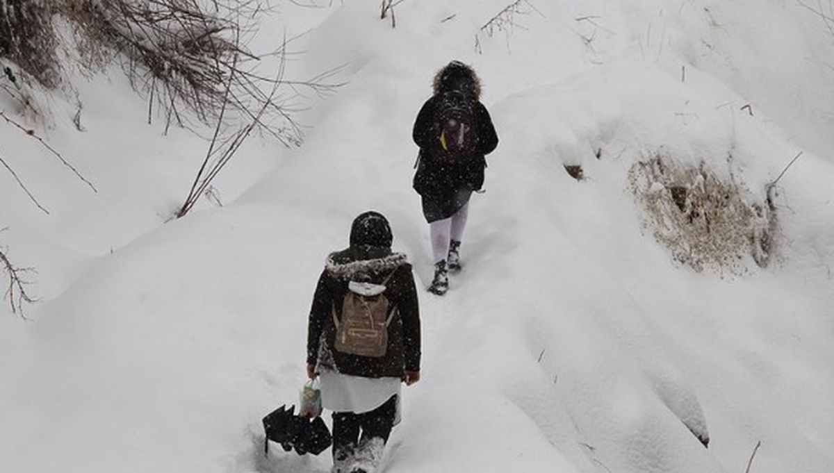 Van okullar tatil mi SON DAKİKA? 24 Şubat Pazartesi Van okul yok mu (Van Valiliği Açıklaması – KAR TATİLİ)?