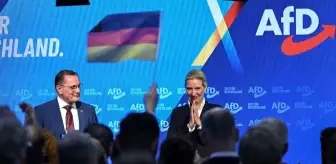 Almanya'da Türkler seçim sonuçları ve AfD'nin yükselişi hakkında ne düşünüyor?