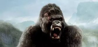 King Kong filmi oyuncuları kim, konusu ne, sonu nasıl bitiyor? King Kong filmi ne zaman, nerede çekildi?