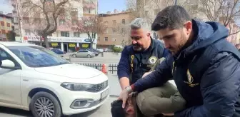 Polis memurunun şehit olduğu kaza öncesi kaçan sürücü tutuklandı