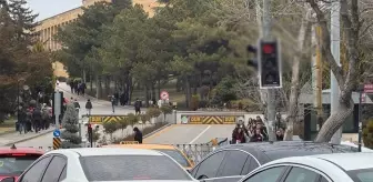 Trafik ışıklarını görenler mest oldu! Araçlarından inip fotoğraf çektirdiler