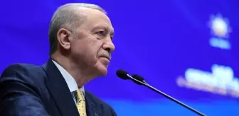 Cumhurbaşkanı Erdoğan'a iki yeni başdanışman