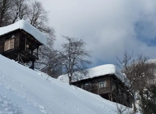 The city where life came to a standstill due to heavy snowfall