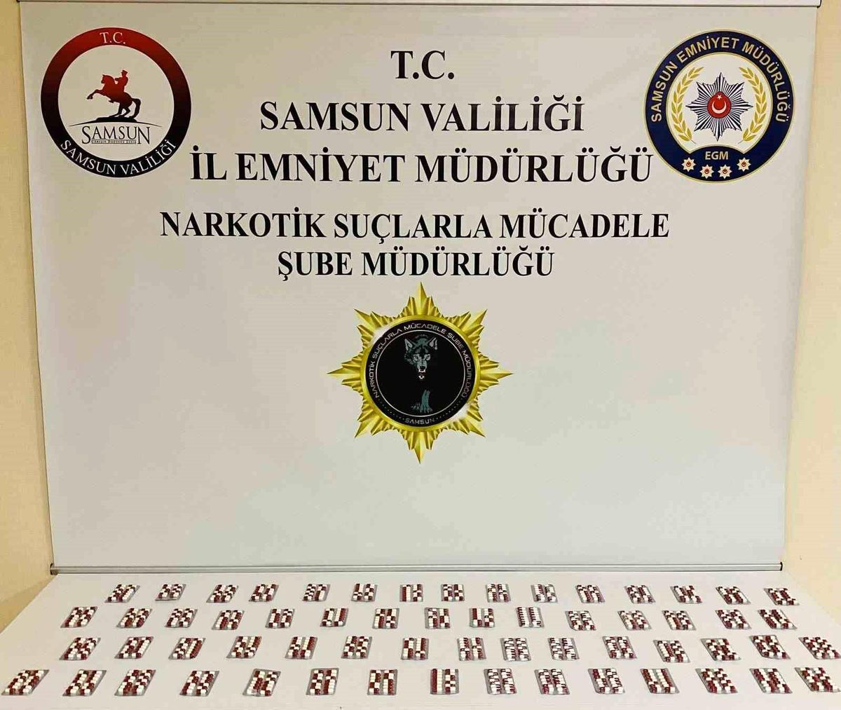 Samsun'da Uyuşturucu Operasyonu: 840 Adet Sentetik Ecza Ele Geçirildi