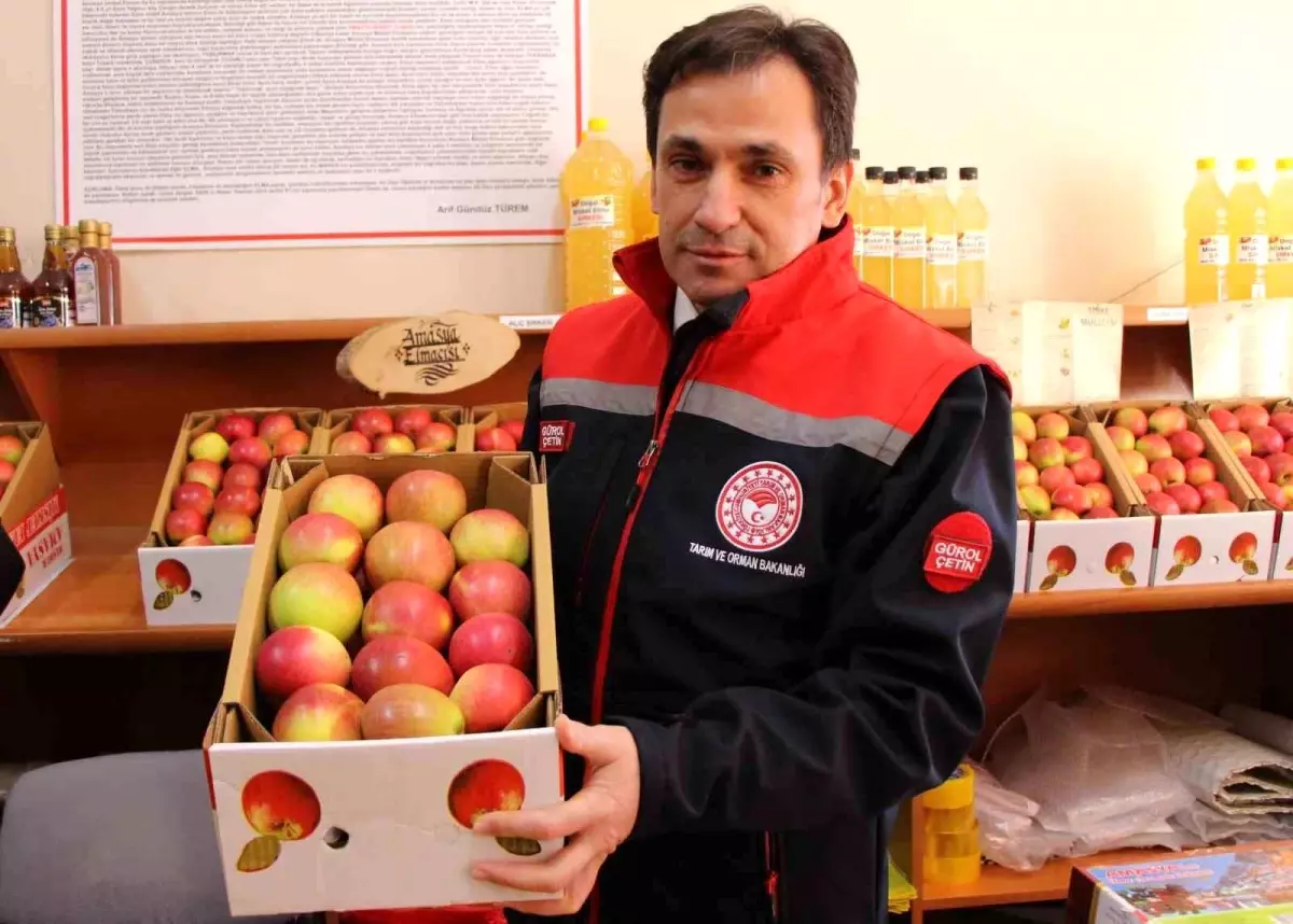 Amasya Misket Elması ve Çiçek Bamyası AB Tescili İçin Başvuruda Bulundu