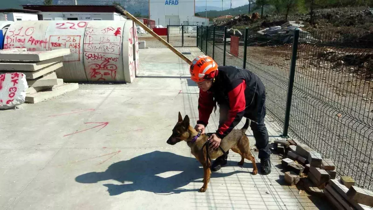 Muğla NAK Arama Kurtarma Ekibi'nin Başarılı Korku Köpeği Tayga