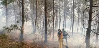 Osmaniye'de Orman Yangını Kontrol Altına Alındı