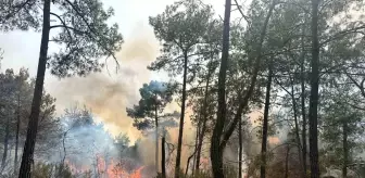 Antalya Kemer'de Orman Yangını Çıktı