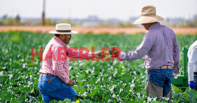 MAZOT GÜBRE DESTEĞİ! Mazot Gübre desteği ne zaman yatacak 2025? Mart ayı mazot ve gübre desteği ödemeleri ne zaman ödenecek?