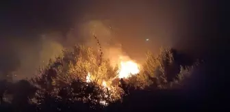 Hatay'da Zeytinlikte Çıkan Yangın Kontrol Altına Alındı