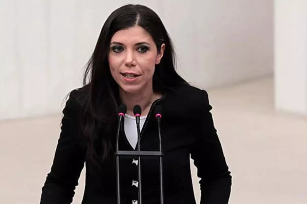 Merkez Parti Genel Başkanı Pelin Gündeş Bakır'a otobanda saldırı