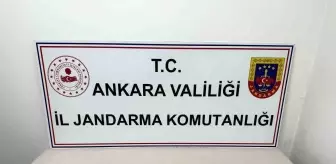 Ankara'da 6 Milyon Lira Değerinde Kobra Yılanı Zehri Ele Geçirildi