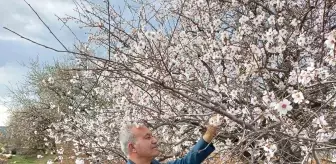 Gaziantep'in Araban İlçesinde Bahar Coşkusu