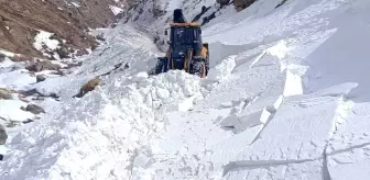 Meteorolojiden Doğu'daki 7 ile çığ uyarısı