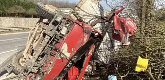 Kocaeli'de Kontrolden Çıkan Kamyonet Ağaçları Devirerek Yola Uçtu