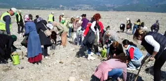 Balıkesir'de Aile Yılı Etkinliği Kapsamında Lavanta Fidanı Dikimi