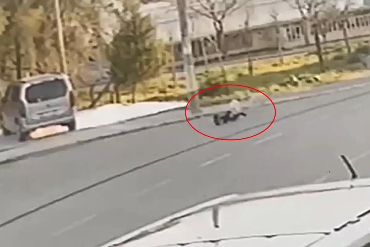 İzmir'de başıboş köpek çocuğa saldırıp bacağını ısırdı